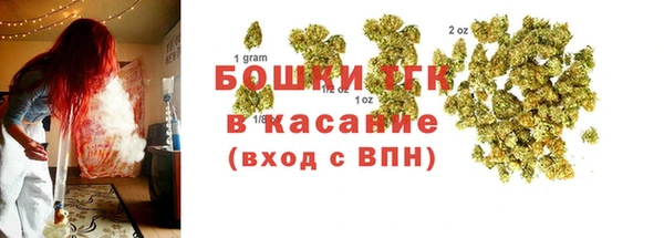 шишки Алзамай