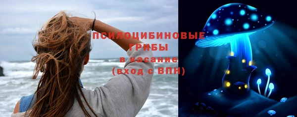 прущий лед Армянск