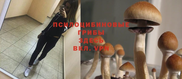 МДМА Алексин