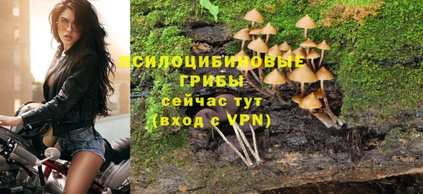 шишки Алзамай